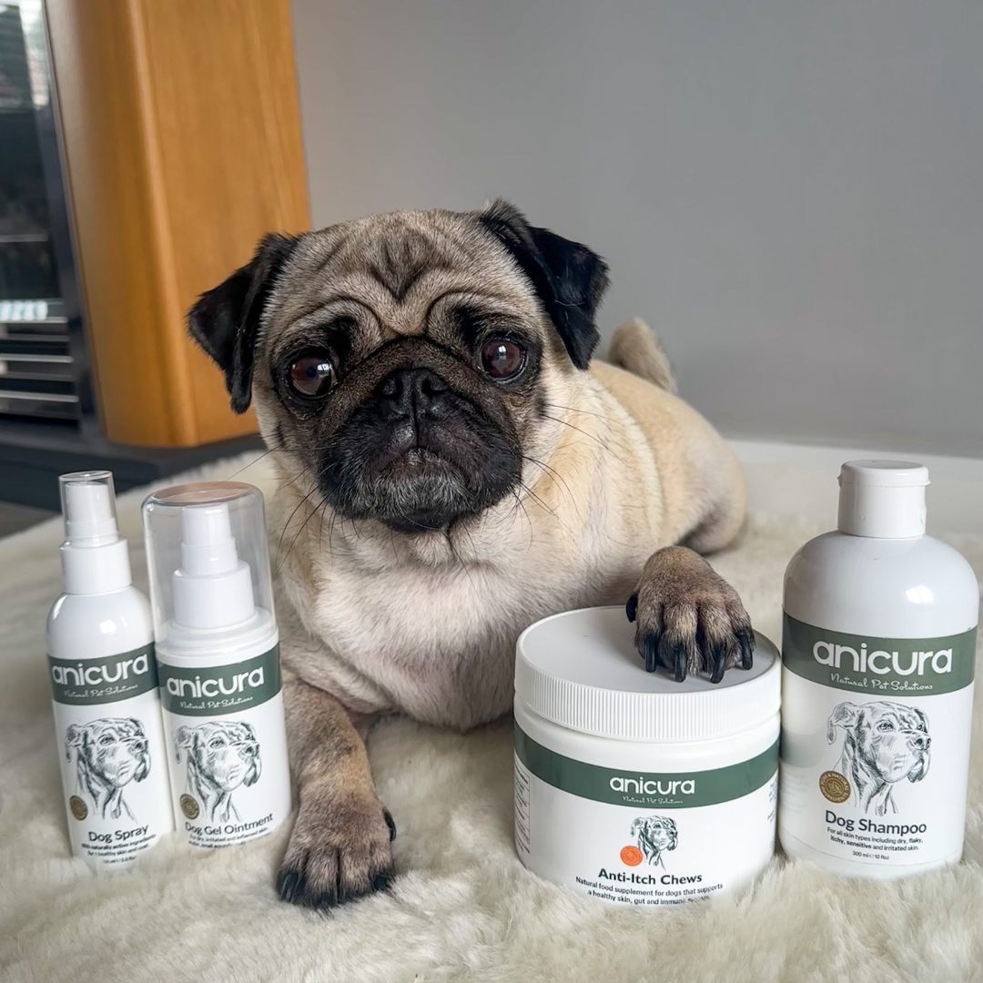 The Dog Total Care Gift - FREE Anti-Itch Chews &amp; Tote Bag!