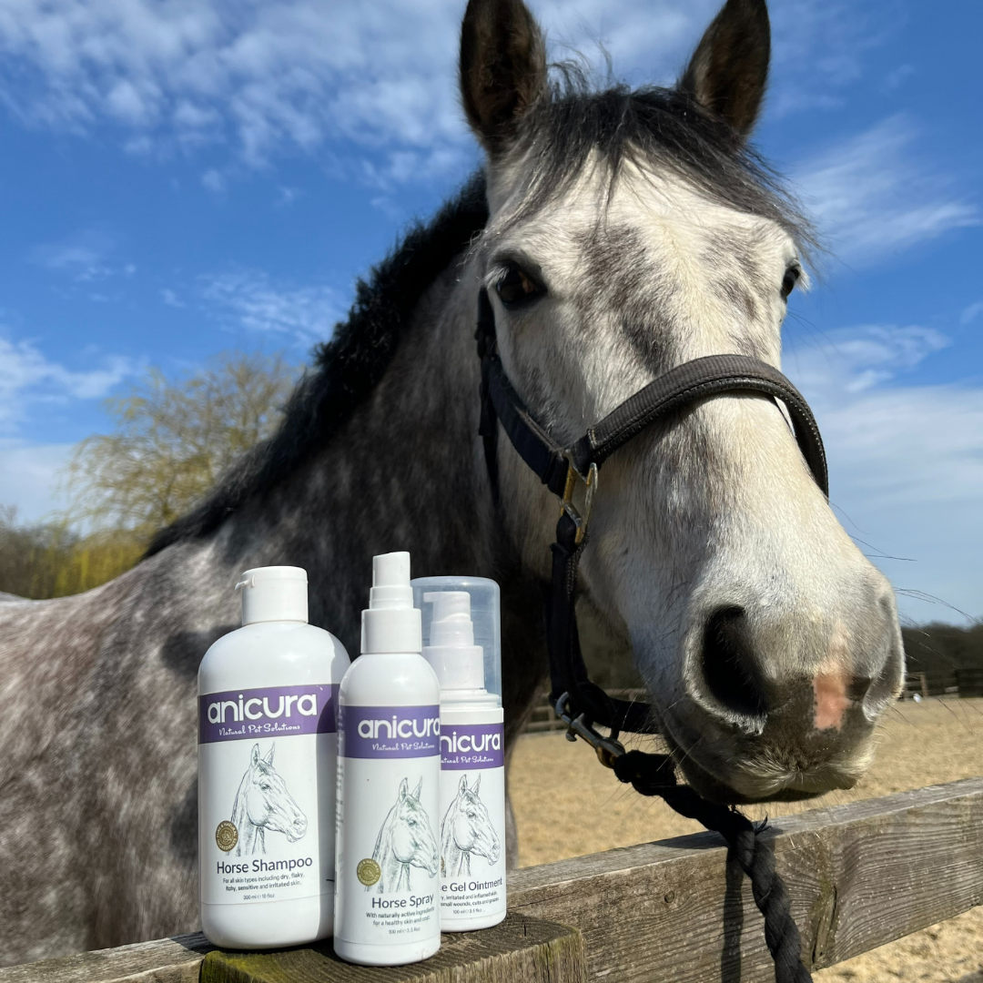 The Horse Total Care Gift - FREE Hoof Oil &amp; Tote Bag!