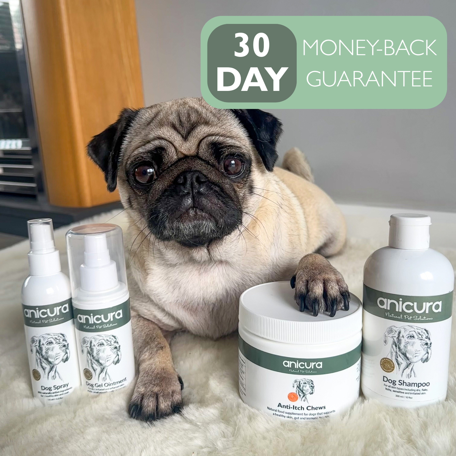 Dog Skin Rescue Kit