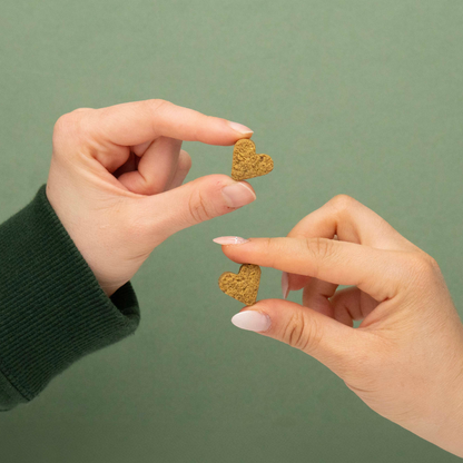 Anti-Itch Dog Chews