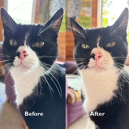 Cat Gel Twin Pack