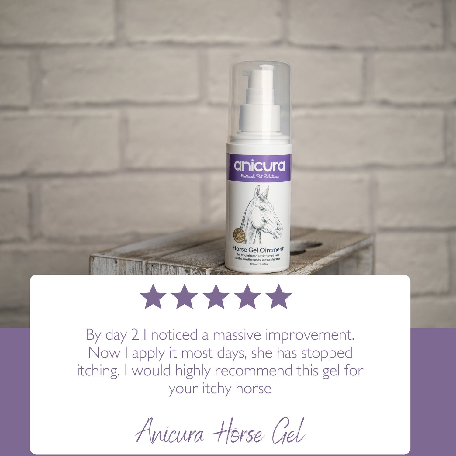 Horse Gel