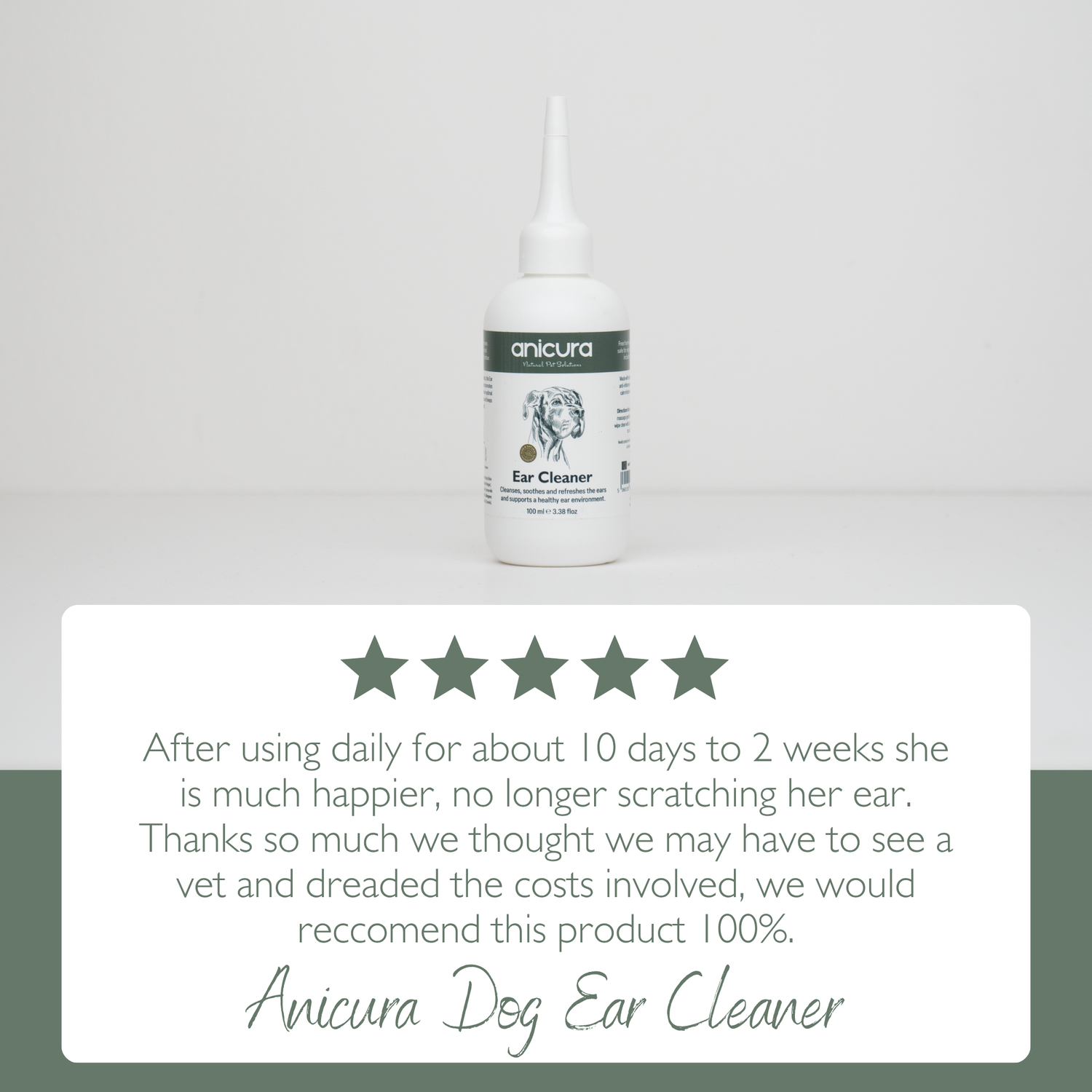 Dog Ear Cleaner