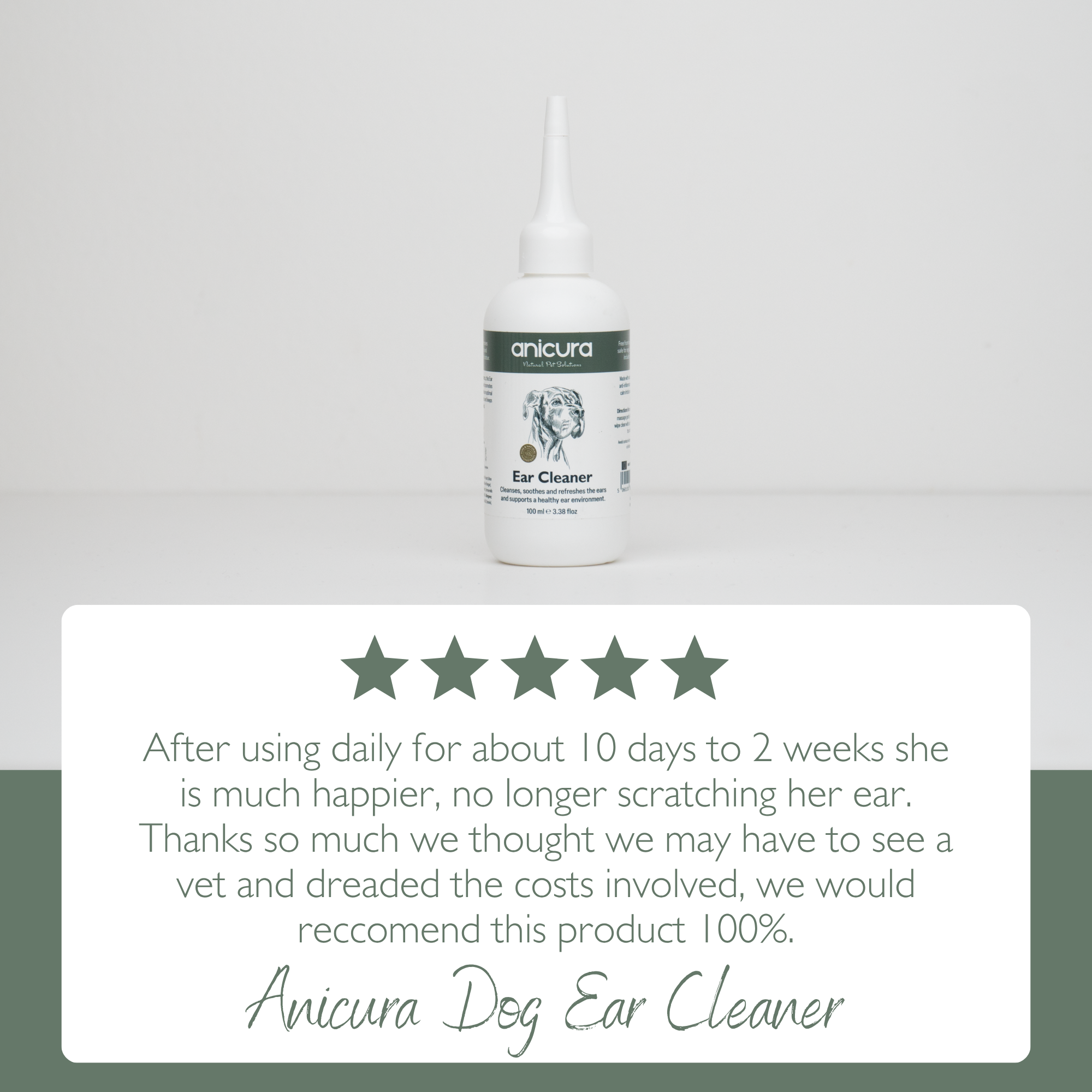 Dog Ear Cleaner