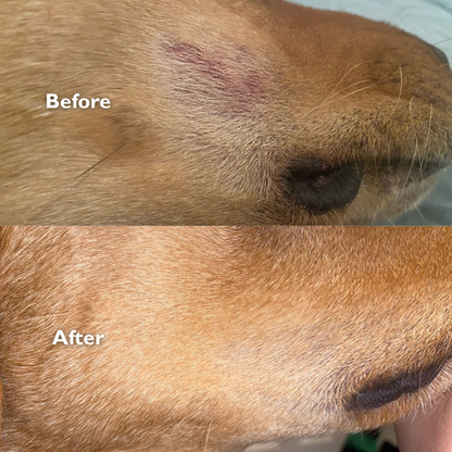 Dog Gel Twin Pack
