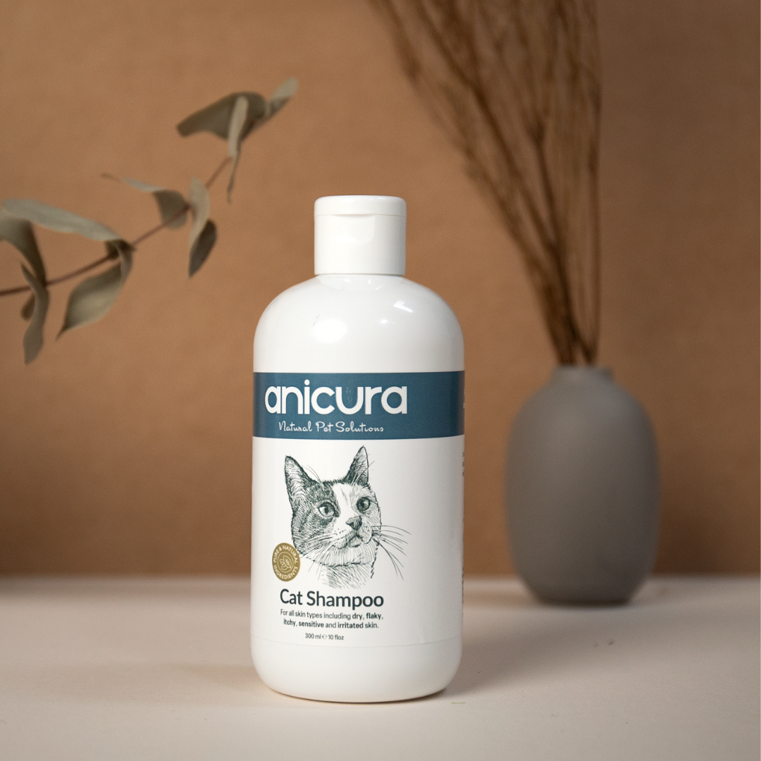Best cat shampoo for itchy skin online