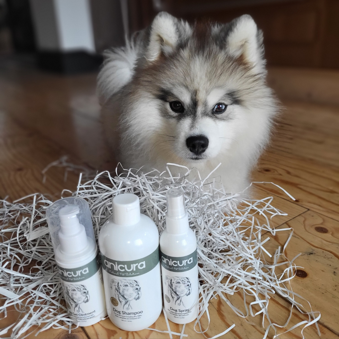 Dog Skin Rescue Bundle