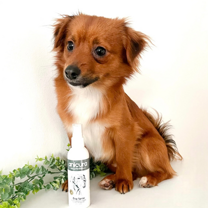 Chi spray for dogs online