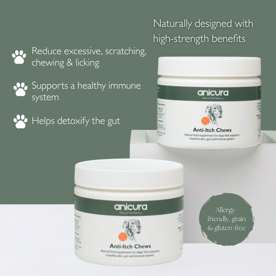 Dog Skin Rescue Kit