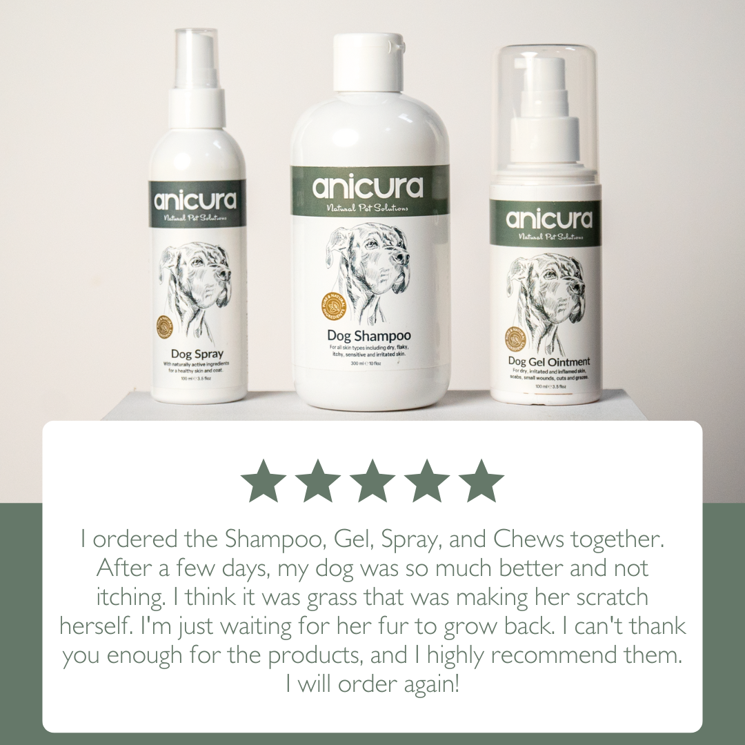 Dog Skin Rescue Kit