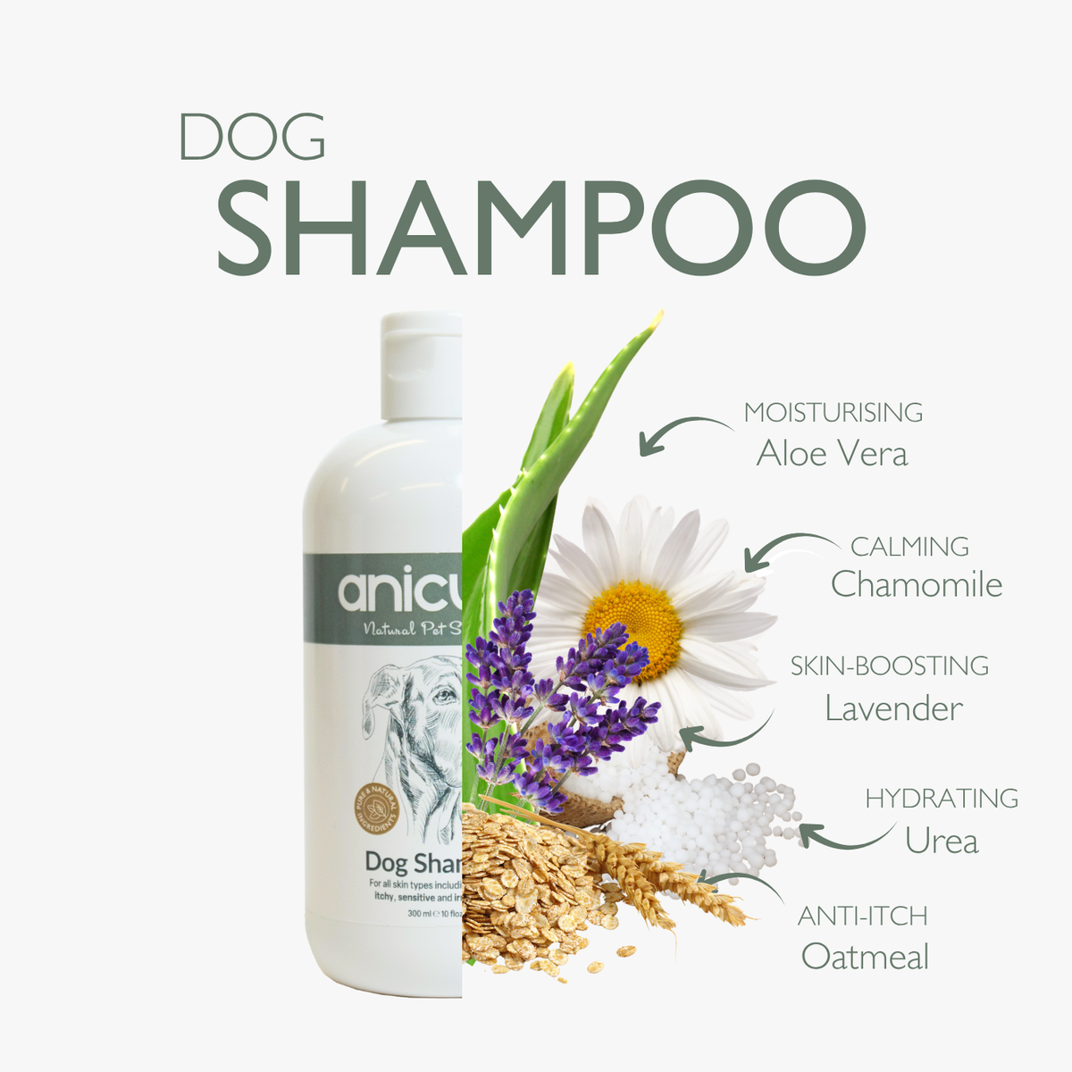 Dog Shampoo