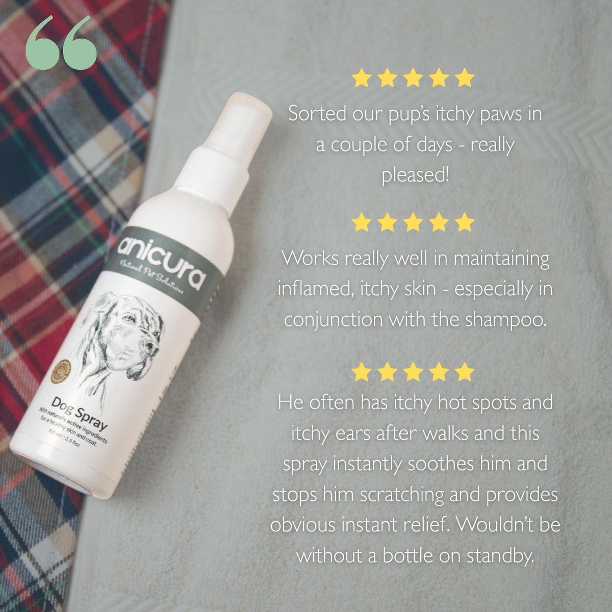Dog Spray