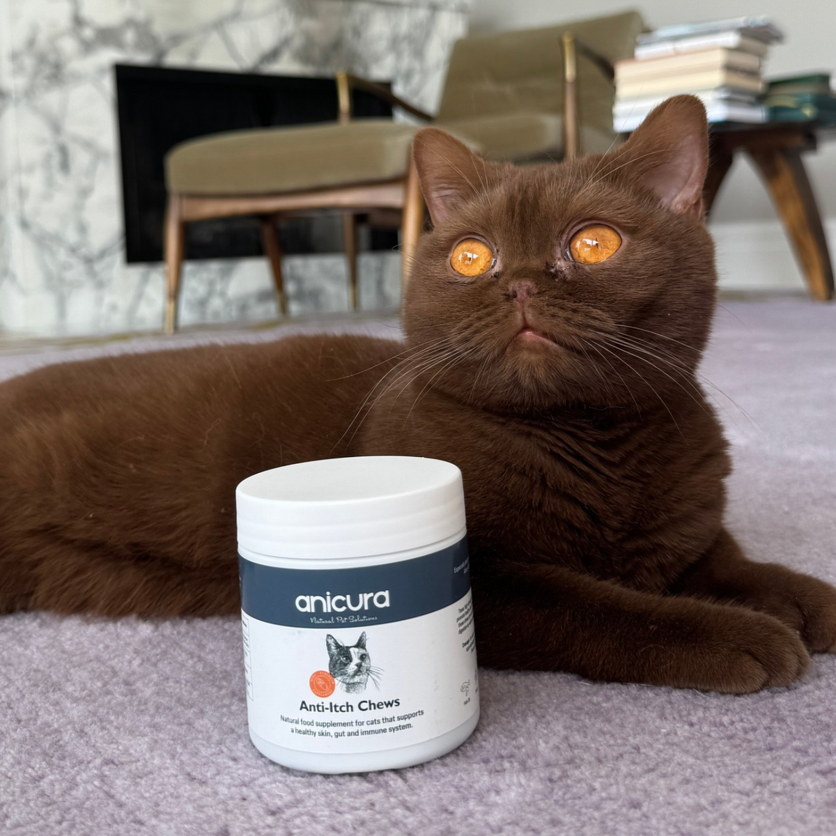Anti-Itch Cat Chews