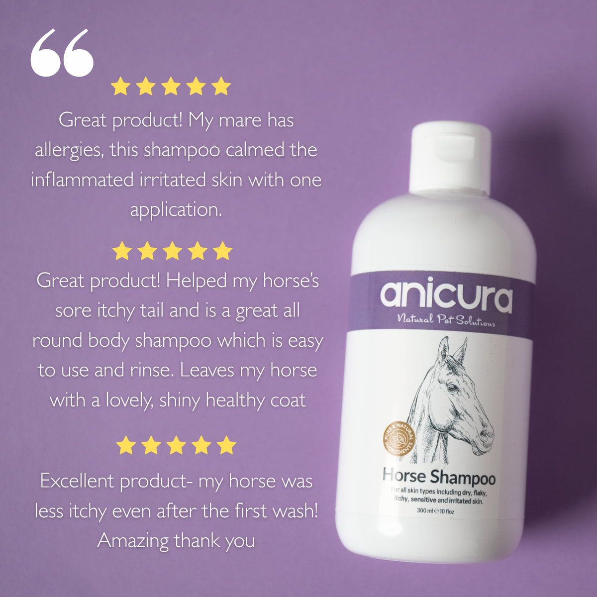 Horse Shampoo
