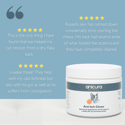Anti-Itch Cat Chews