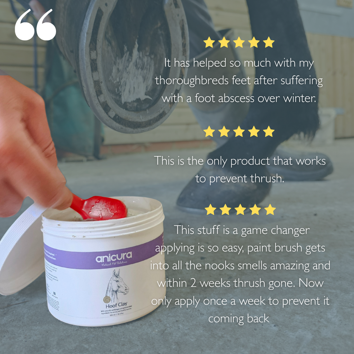 Hoof Clay