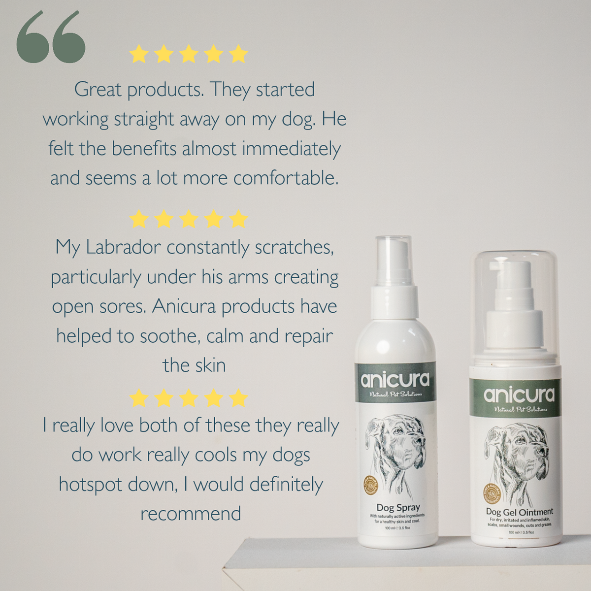 Dog Duo Pack