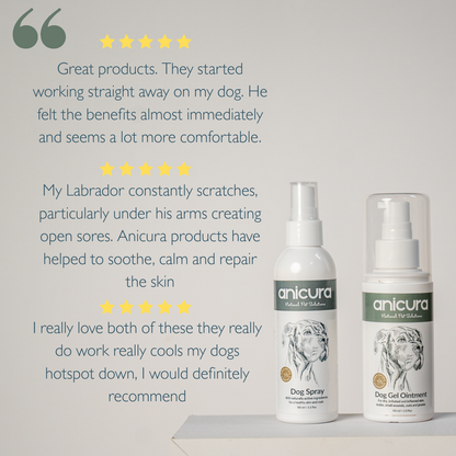 Dog Duo Pack