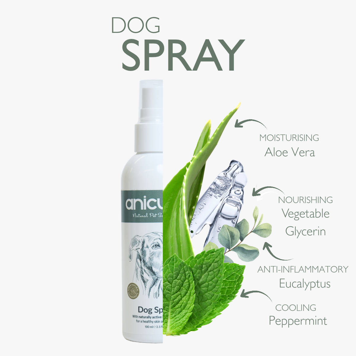 Dog Duo Pack