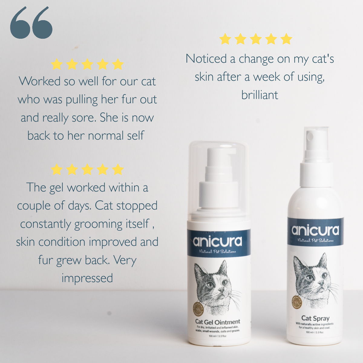 Cat Duo Pack