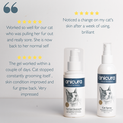 Cat Duo Pack