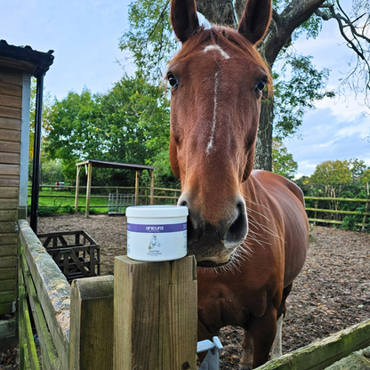 Hoof Clay