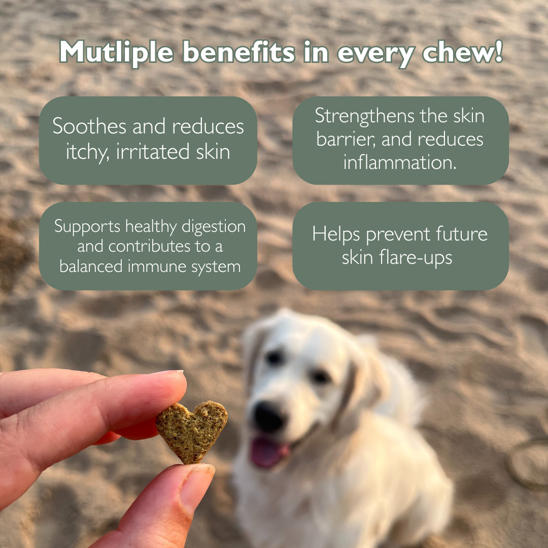 Anti-Itch Dog Chews