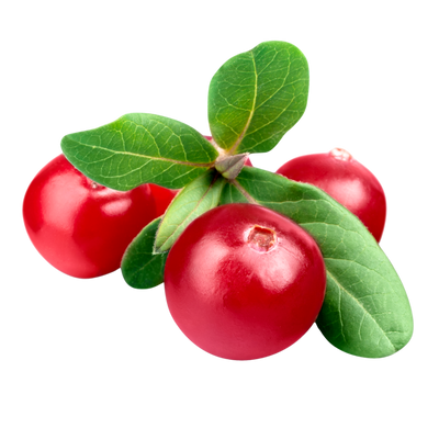 Cranberry