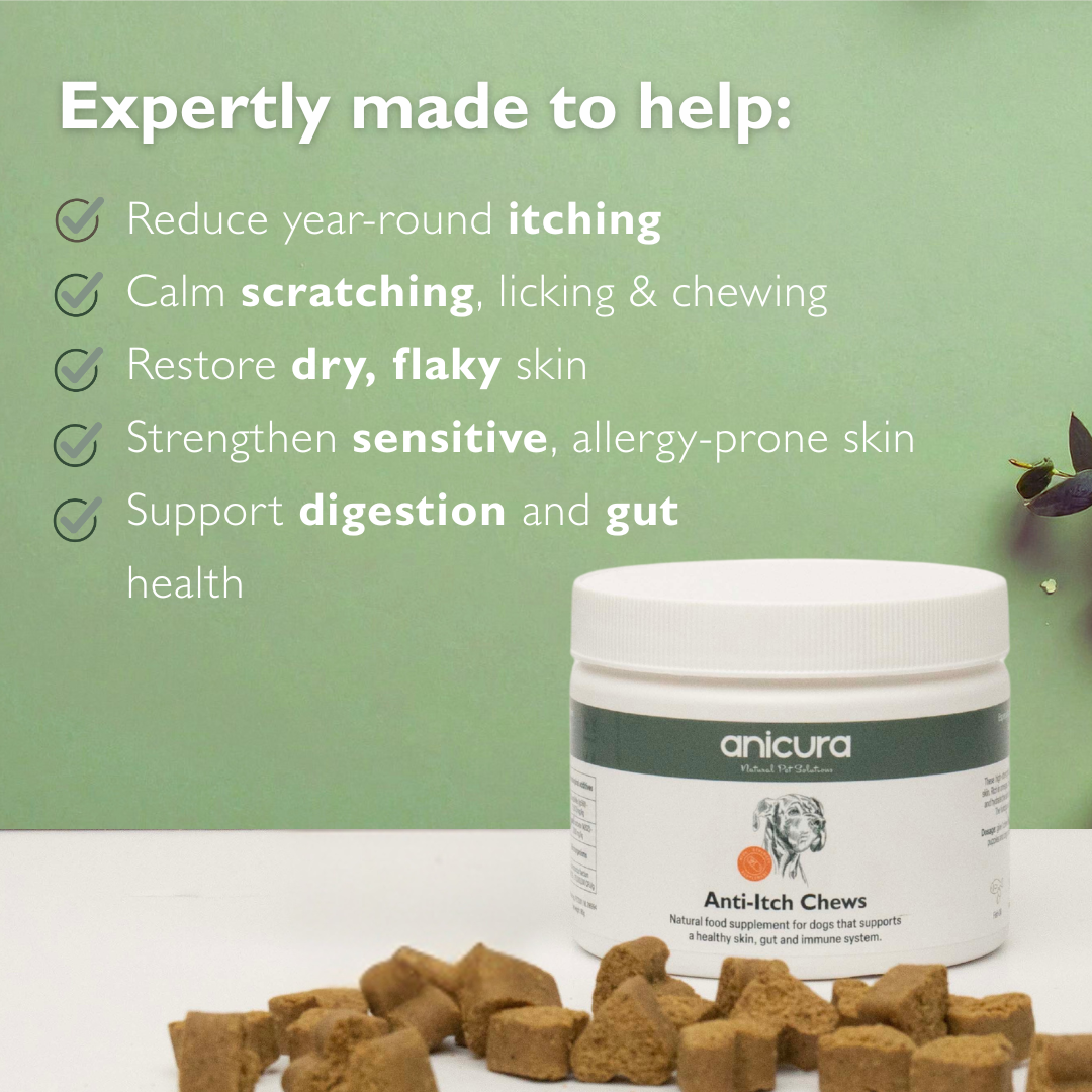 Anti-Itch Dog Chews