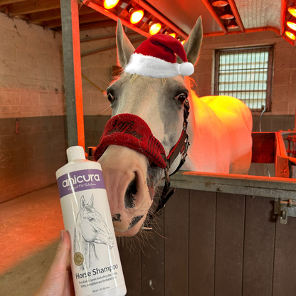 The Horse Stocking - FREE Hoof Oil &amp; Tote Bag!