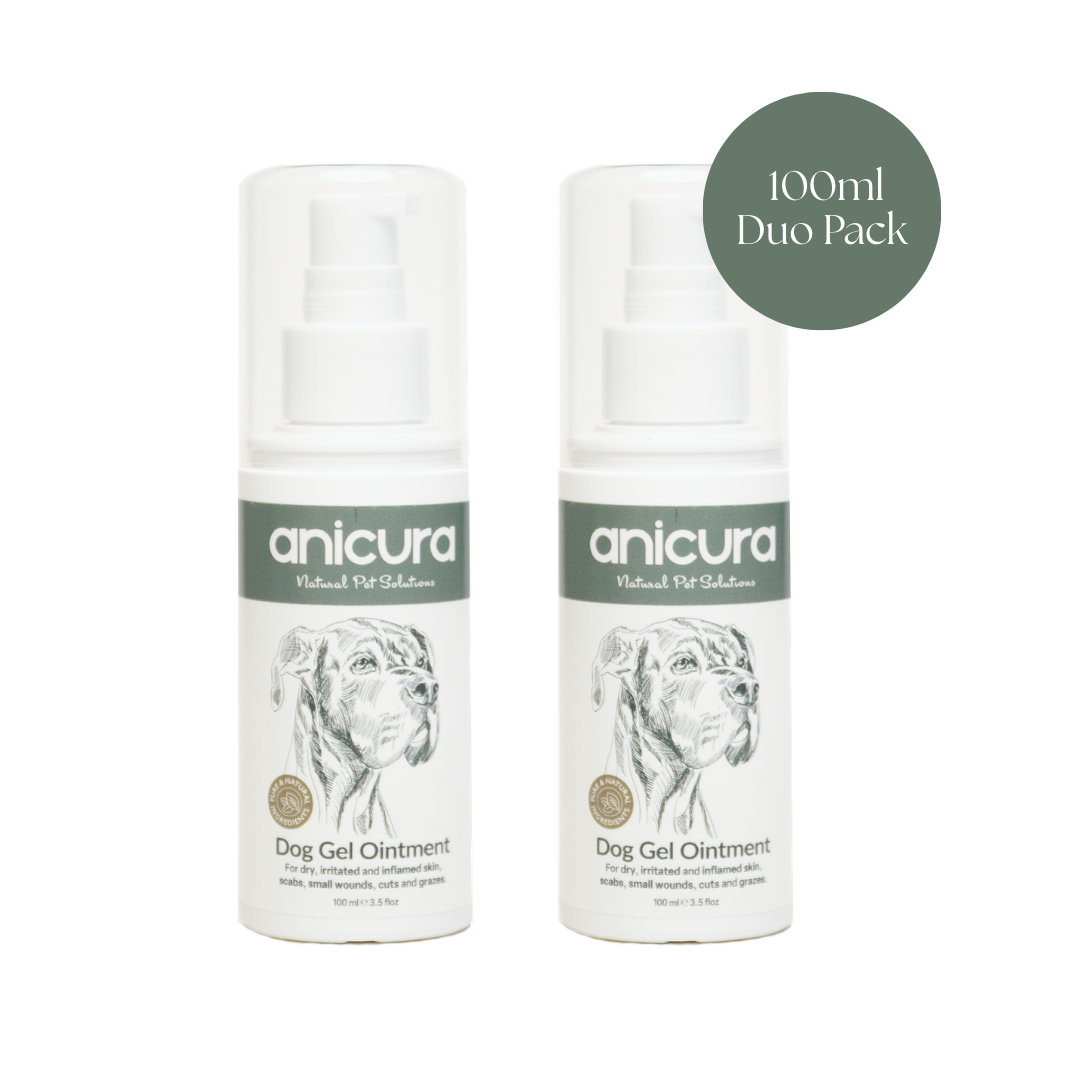 Dog Gel