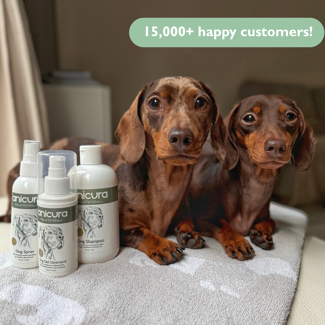Dog Skin Rescue Kit