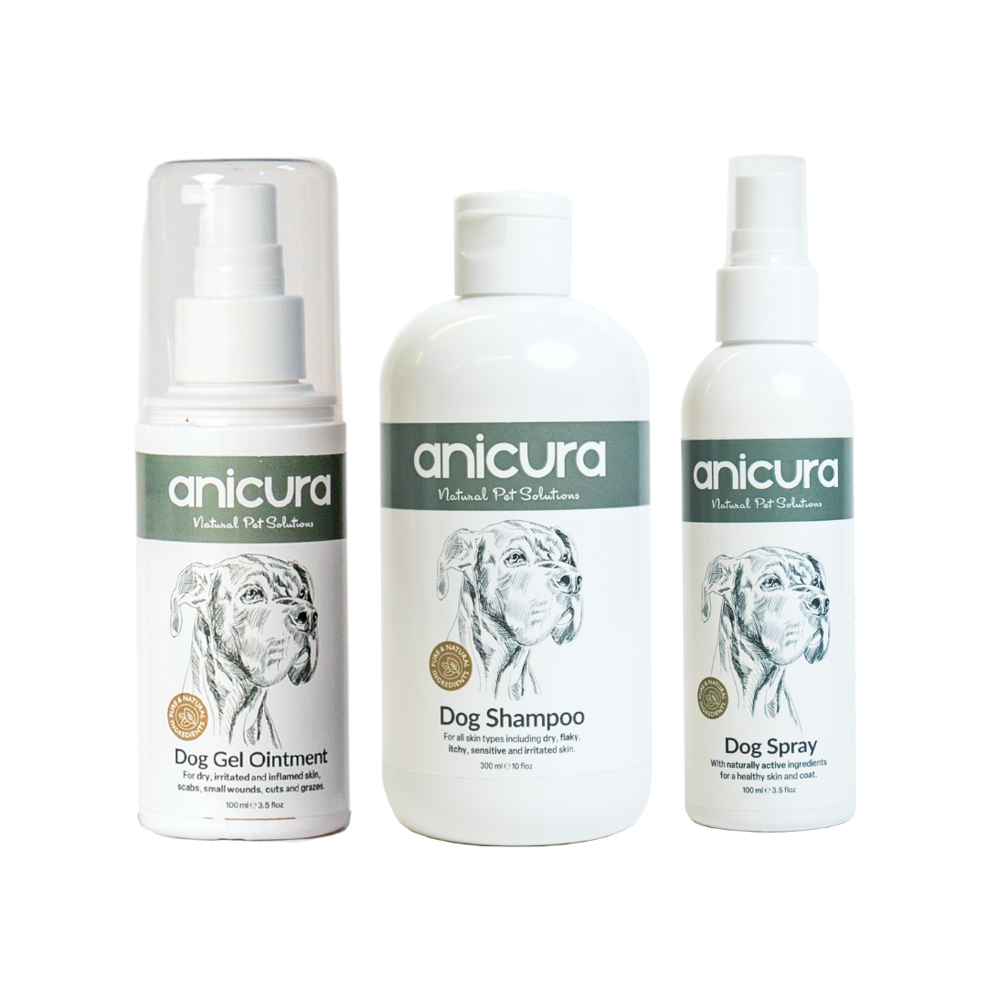 Dry dog skin solutions outlet