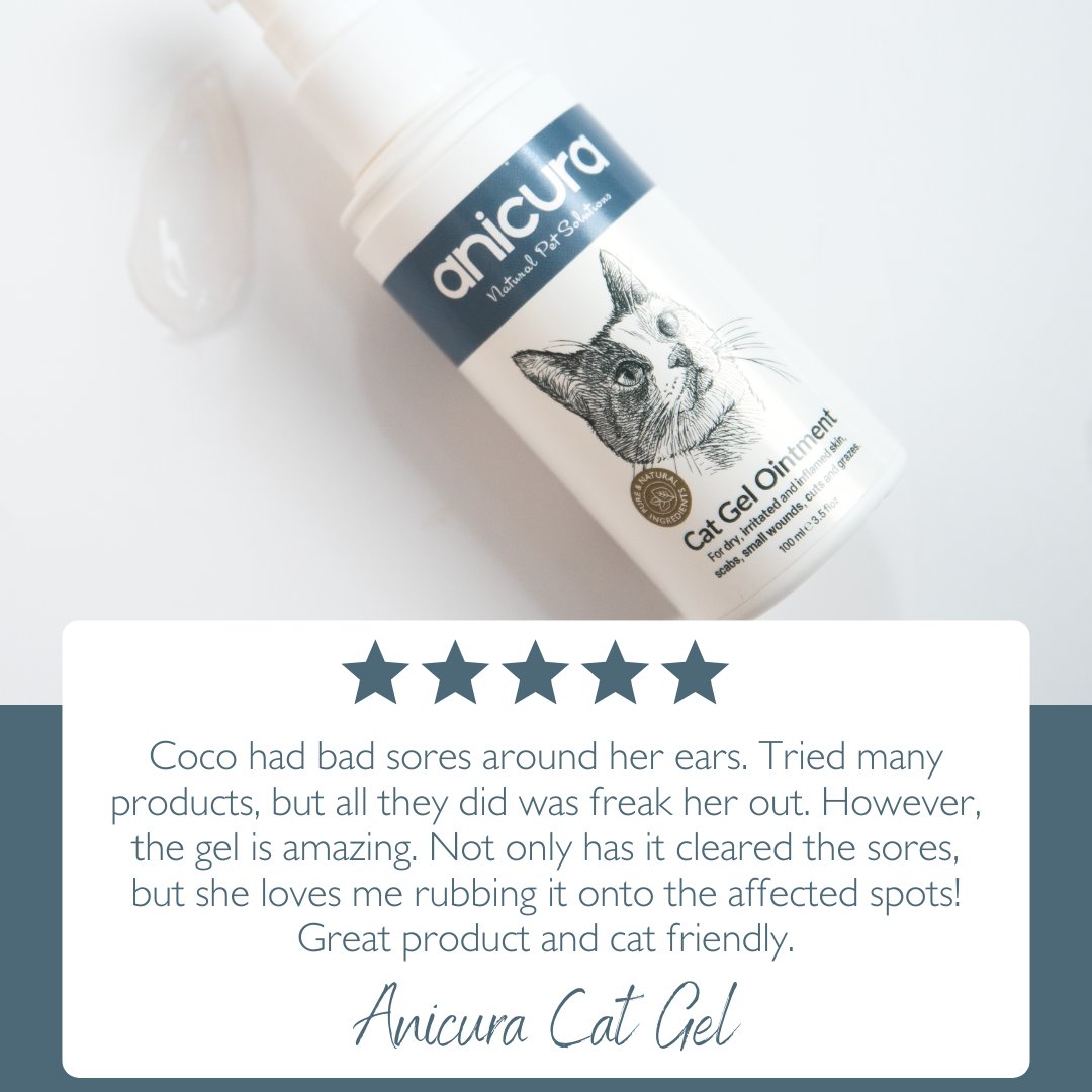 Cat Gel Twin Pack
