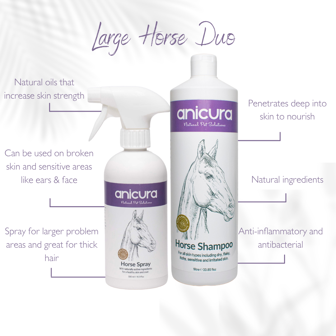 Large Horse Duo