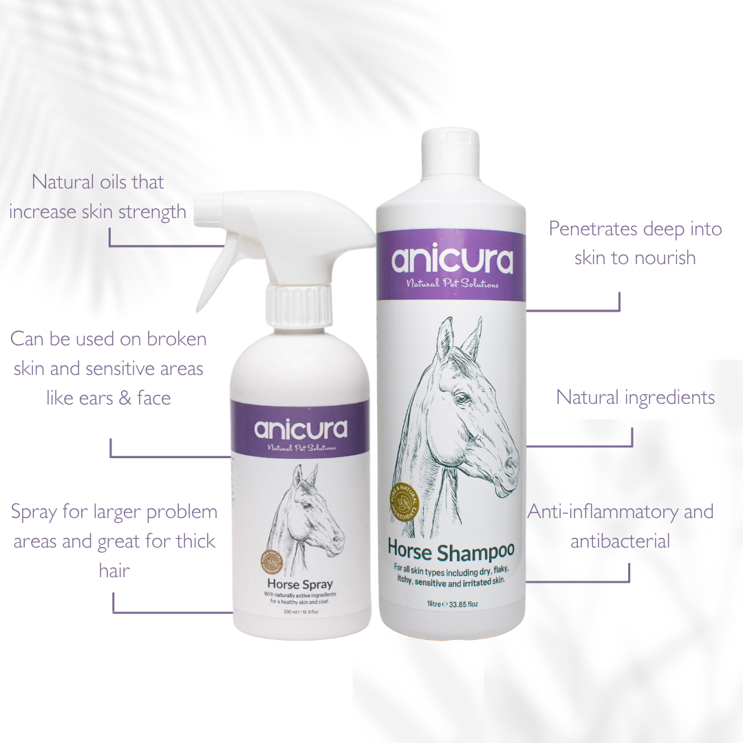 Large Horse Skin Rescue Bundle