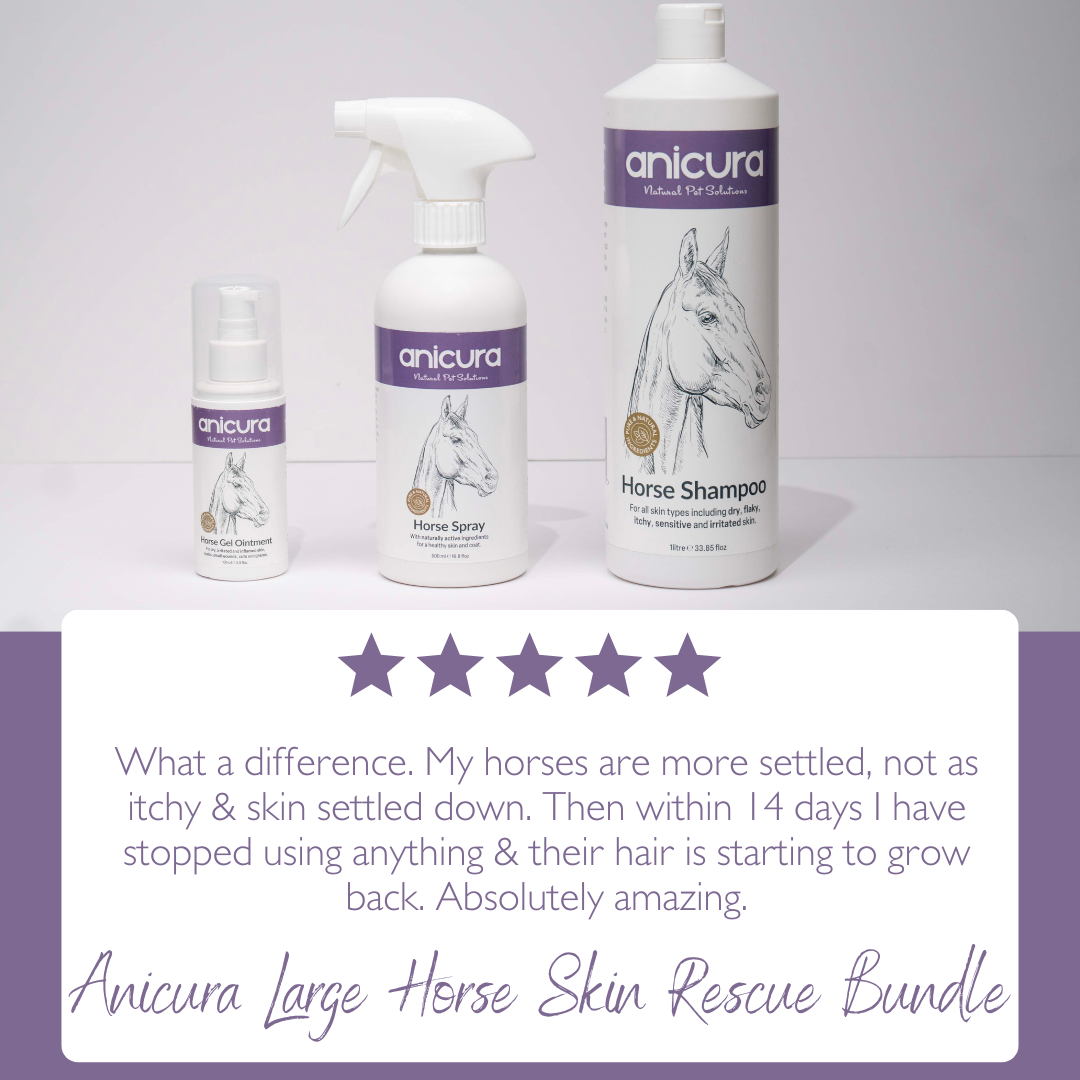 Large Horse Skin Rescue Bundle
