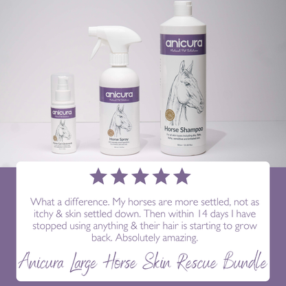 Large Horse Skin Rescue Bundle