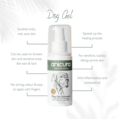Large Dog Skin Rescue Bundle