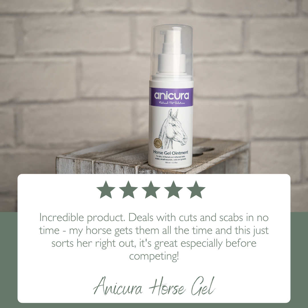 Horse Gel Twin Pack