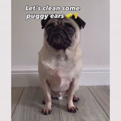 Dog Ear Cleaner