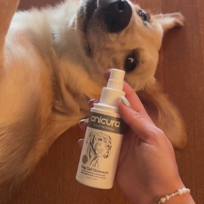 Dog Gel