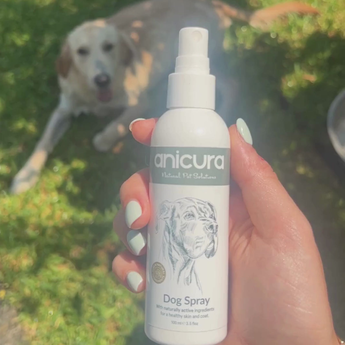 Dog Duo Pack