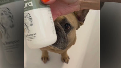 Dog Shampoo