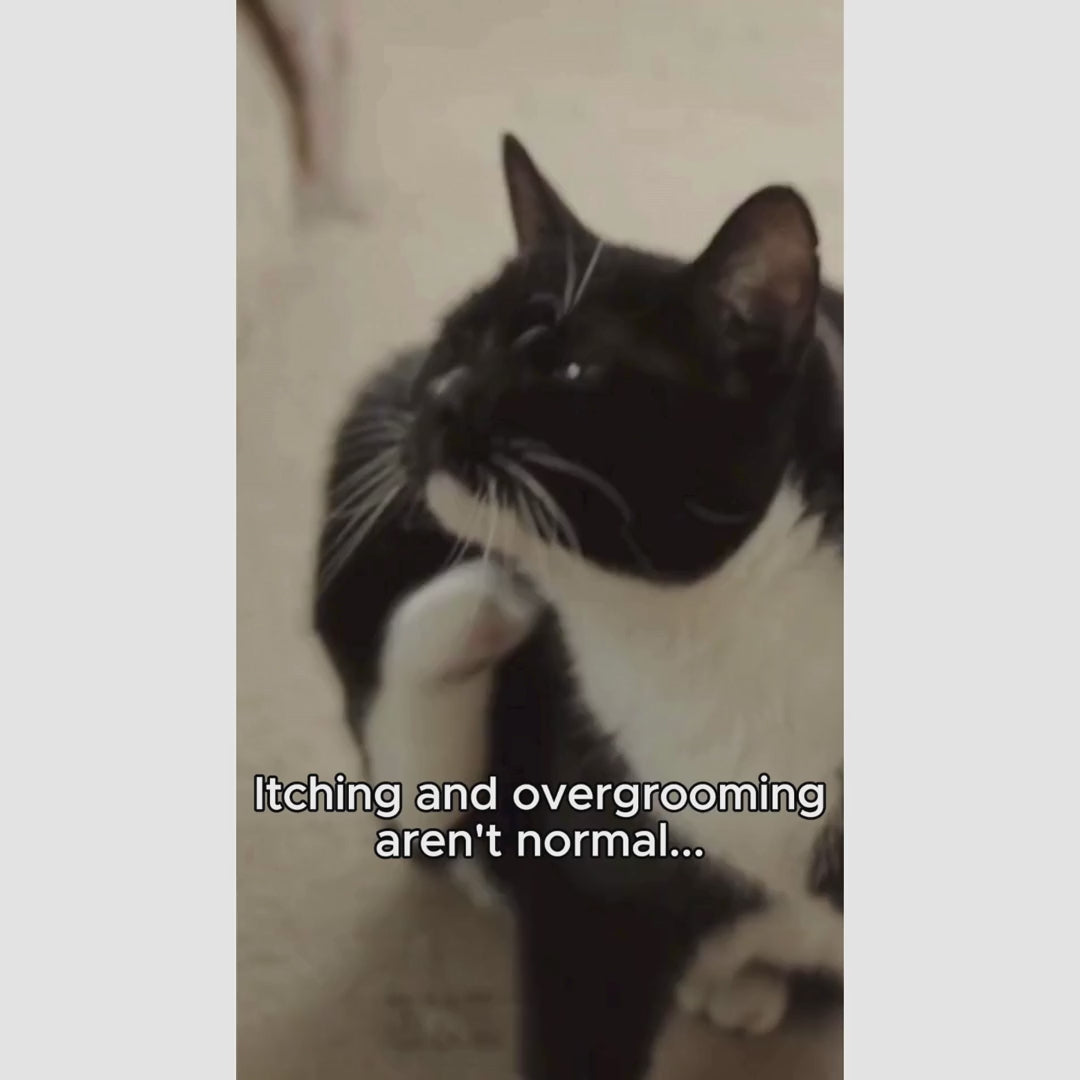Anti-Itch Cat Chews