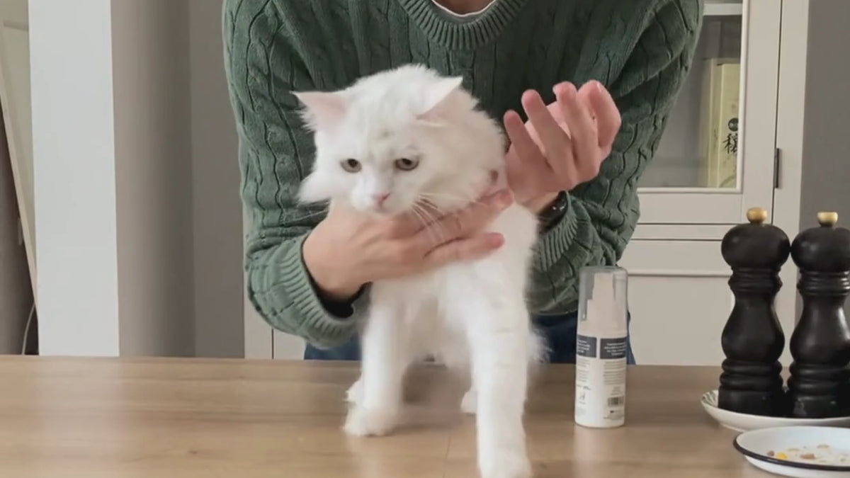 Cat Gel