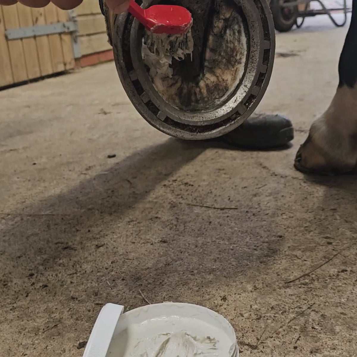 Hoof Clay