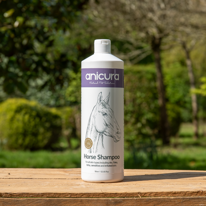 Horse Shampoo