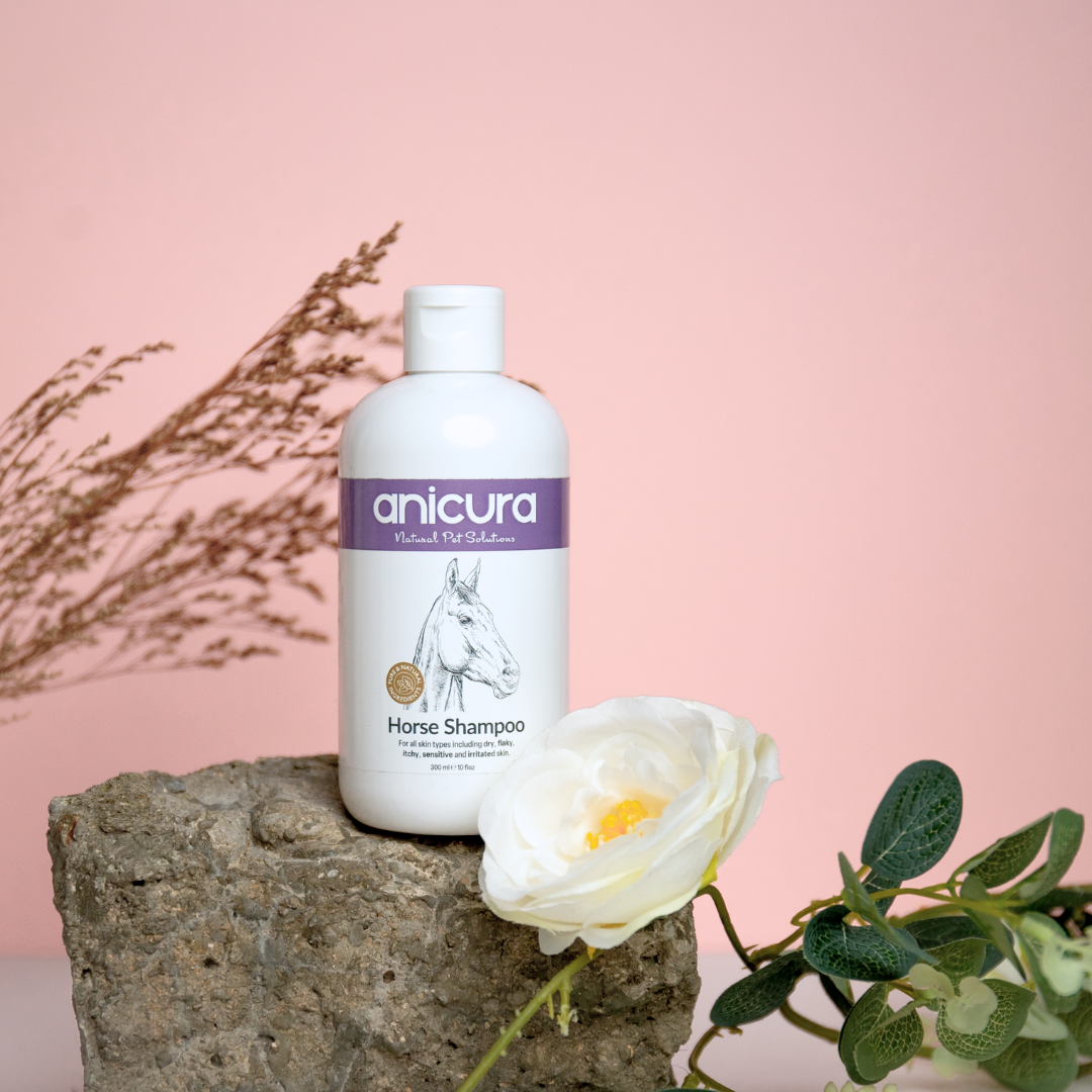Anicura natural pet solutions Clearance