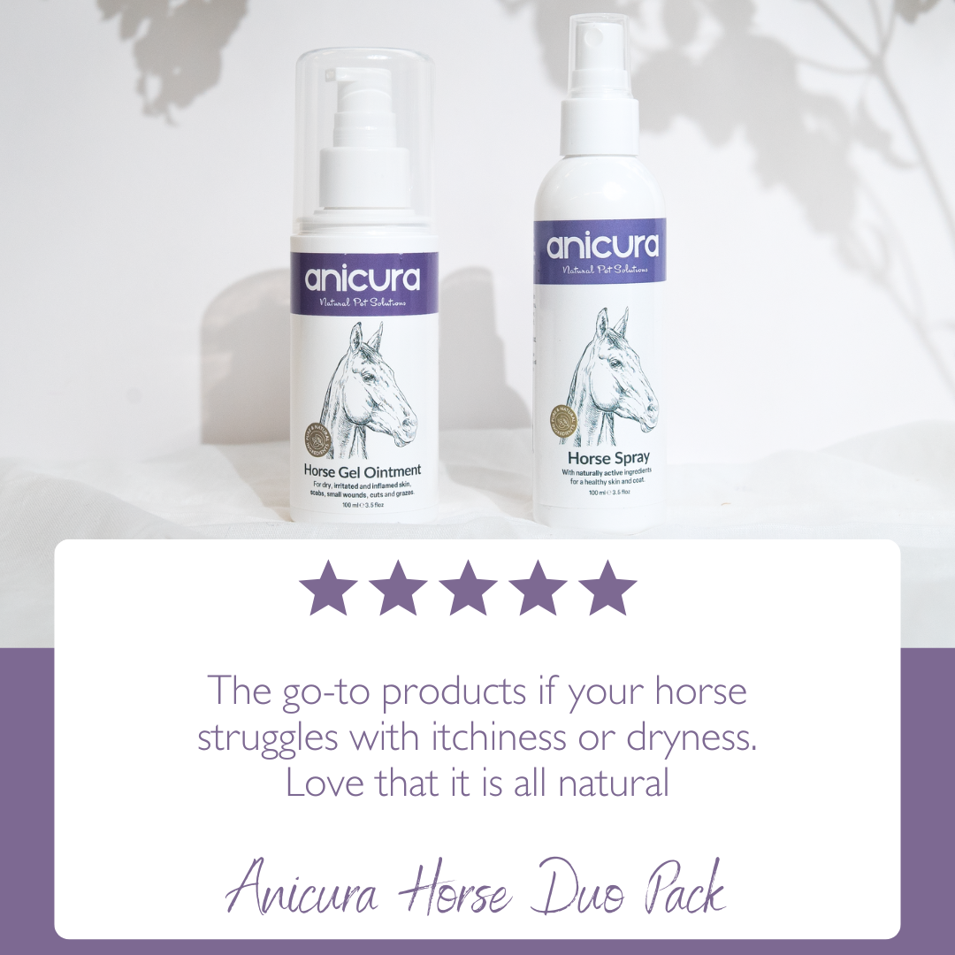 Horse Duo Pack